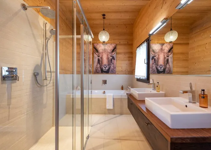 Melchior Alpehytte Villars-sur-Ollon